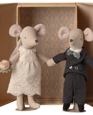 Couple de mariés dans leur jolie boîte