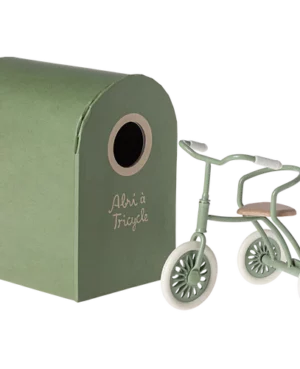 Abri à tricycle vert