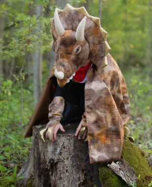 Costume de tricératops