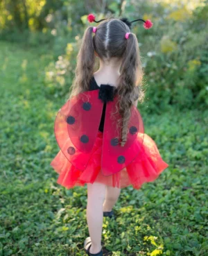 Ensemble coccinelle 4-6 ans