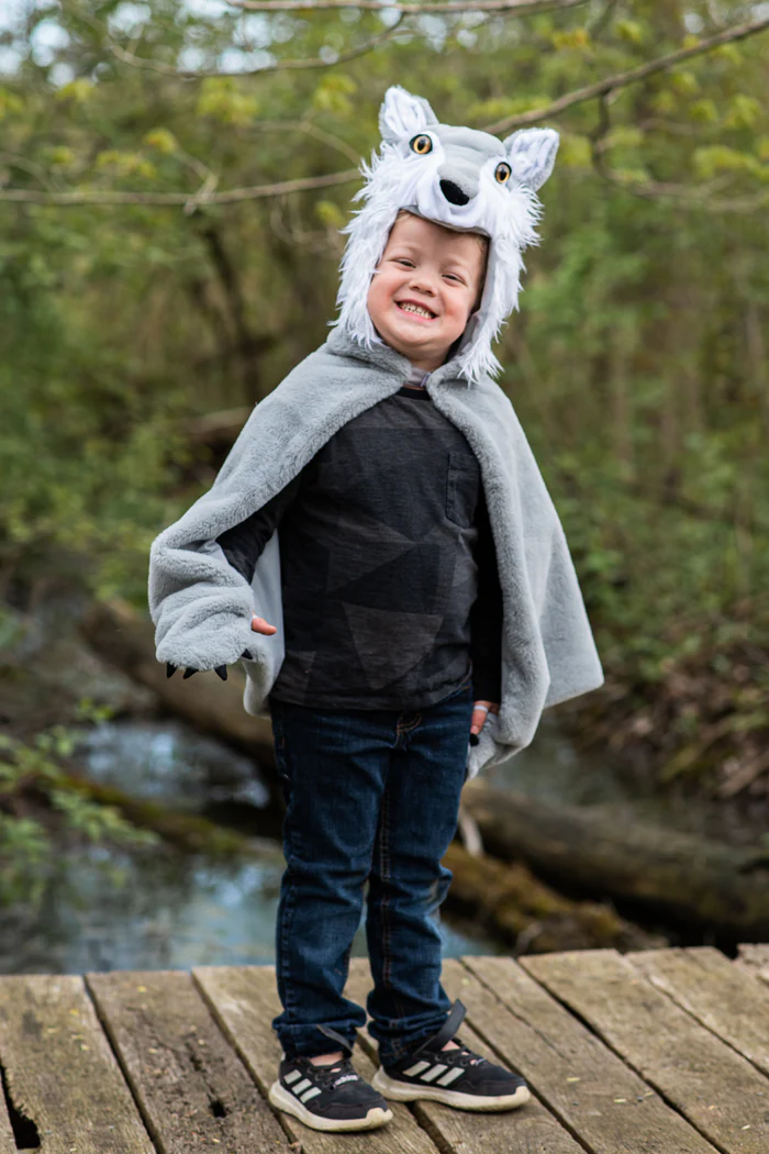 Costume de loup 2-3 ans