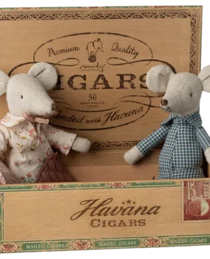 Grands-parents souris dans leur boîte à cigares