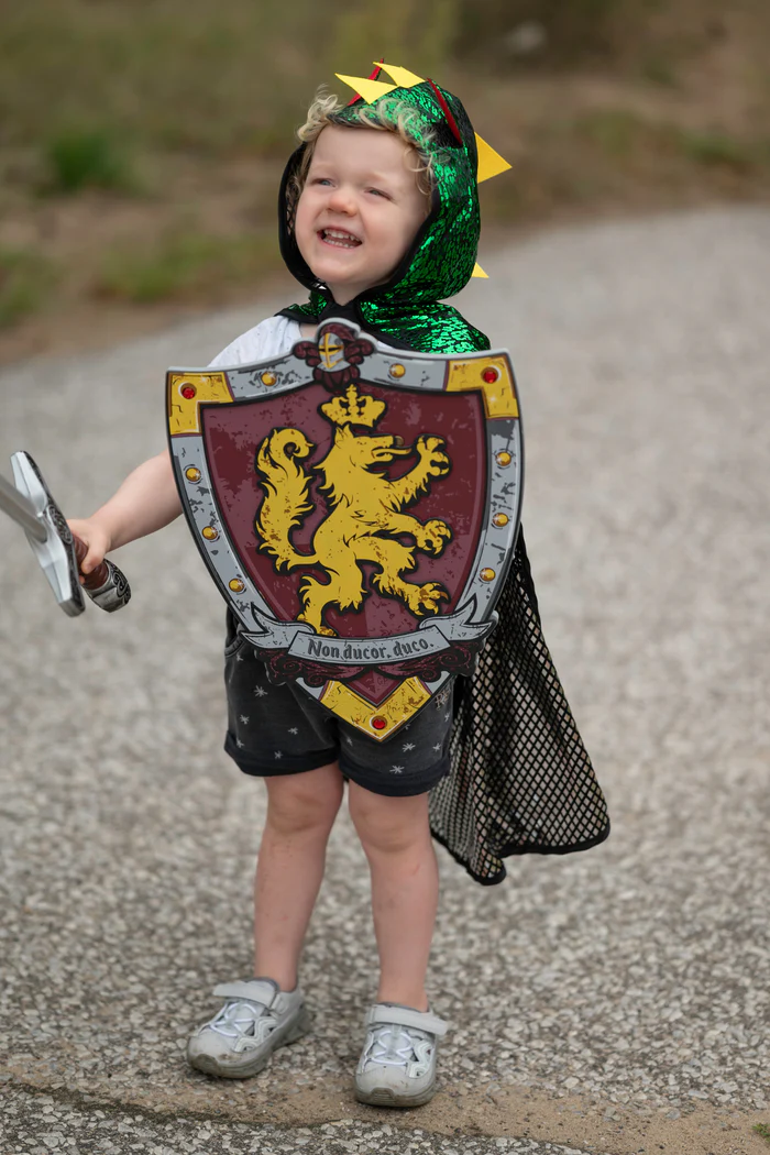 Bouclier Lion Great Pretenders – Image 2