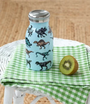 Bouteille en acier inoxydable - Dinos