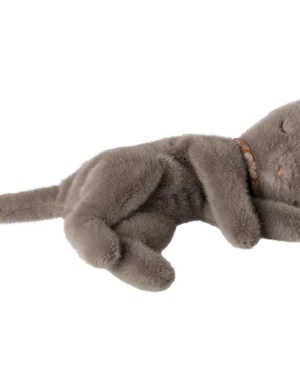 Petit chaton gris endormi
