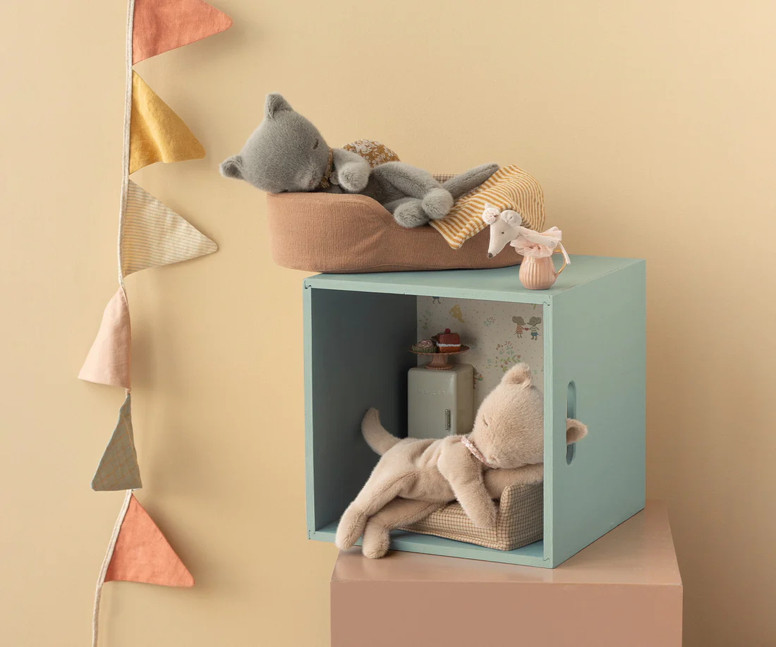 Petit chaton gris endormi – Image 2