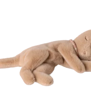 Petit chaton pêche endormi