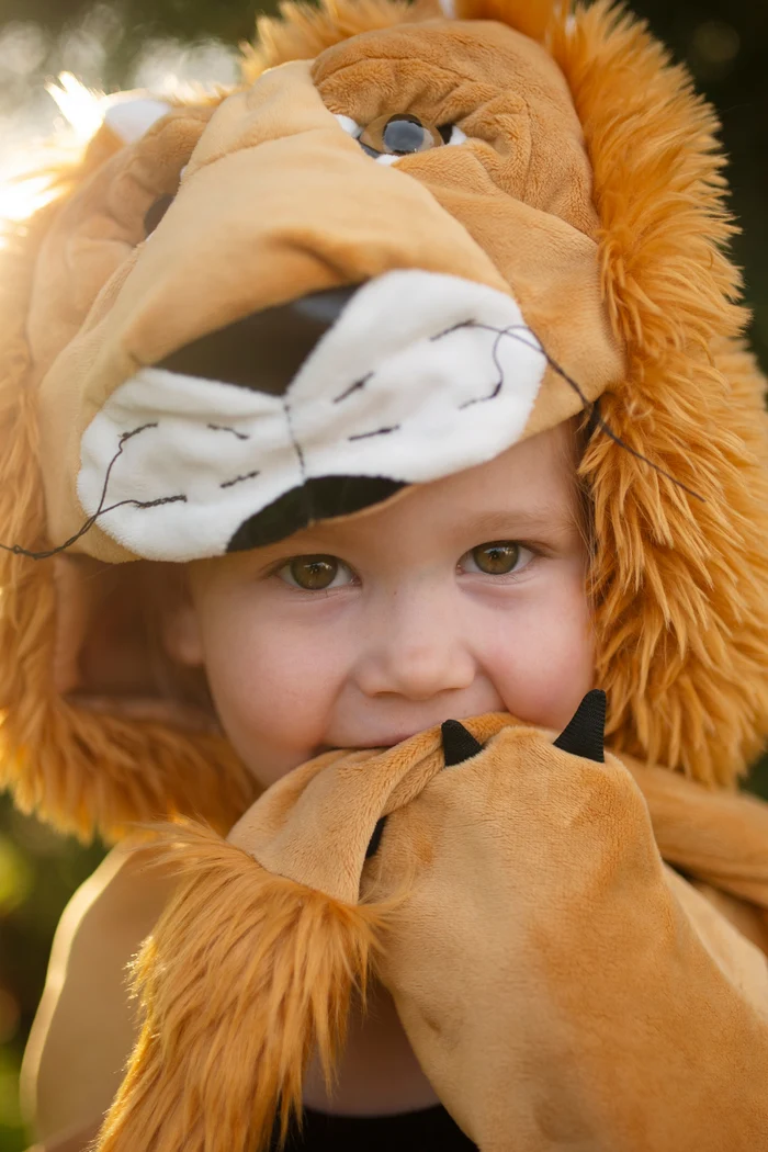 Costume de lion 4-6 ans